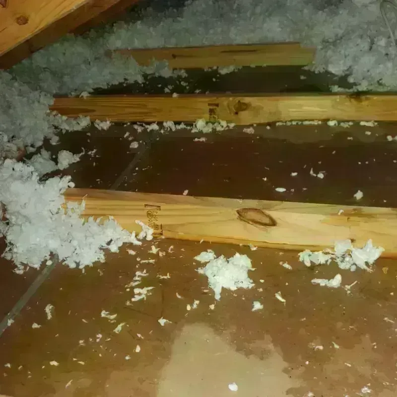 Attic Water Damage in Culloden, WV